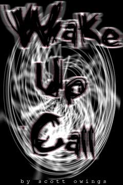 Wake-up Call, by Scott Owings