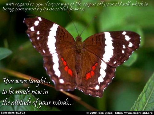 http://www.heartlight.org/graphics/gallery/ephesians4_22-23.jpg