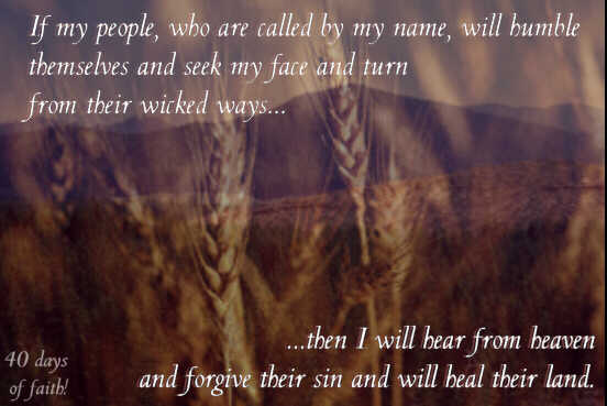 Heal This Land