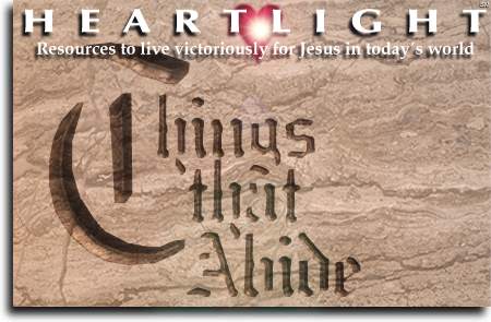 Things That Abide
