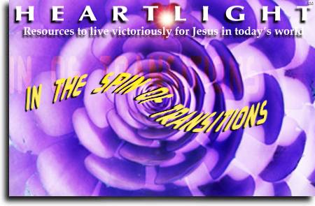 In the Spin of Transitions