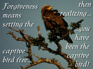 Set Free by Forgiving