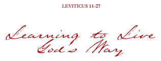 Learning to Live Gods Way