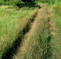 Who Moved My Rut?