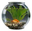 Room to Grow