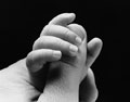 Papa's Love