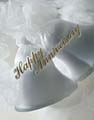 25th Anniversary