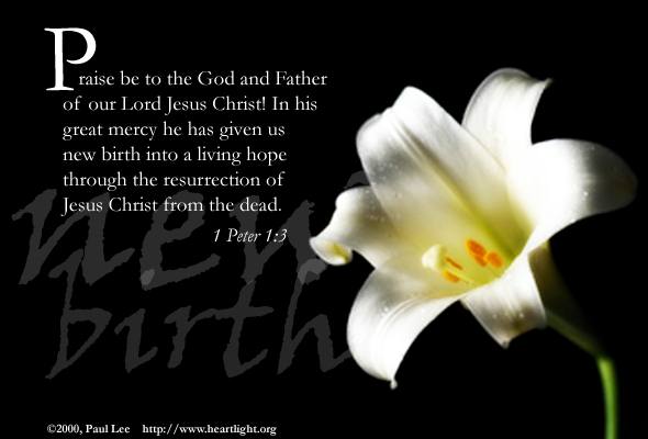 1 Peter 1:3 (25k)