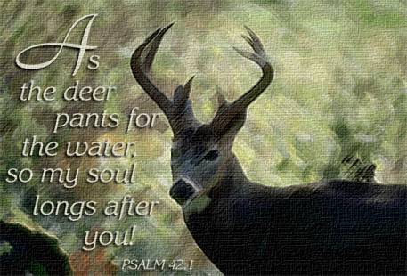 HEARTLIGHT(R) Magazine: Heart Gallery: As the Deer