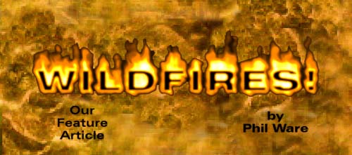 Wildfires